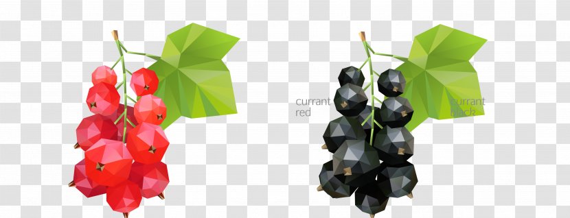 Zante Currant Grape Geometric Shape - Fruit - Vector Red Black Two Strings Of Pattern Transparent PNG