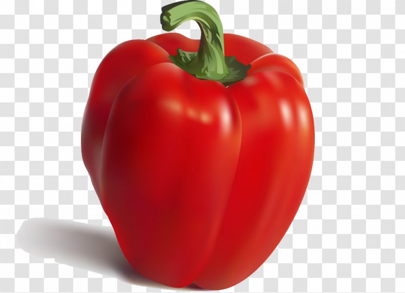 Nutrient Pimiento Bell Pepper Food Vegetable - Fruit - Red Transparent PNG