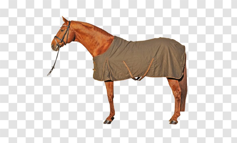 Horse Blanket Equestrian Tack - Decathlon Group Transparent PNG
