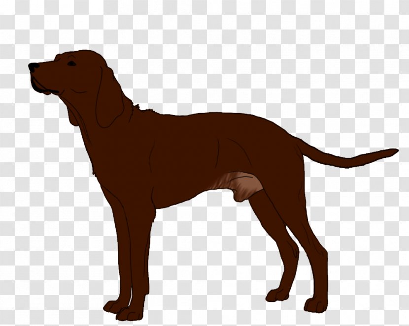 Redbone Coonhound Labrador Retriever Dog Breed Puppy Black And Tan - Like Mammal Transparent PNG