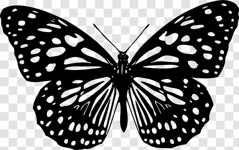 Butterfly Animation Clip Art - Color Transparent PNG