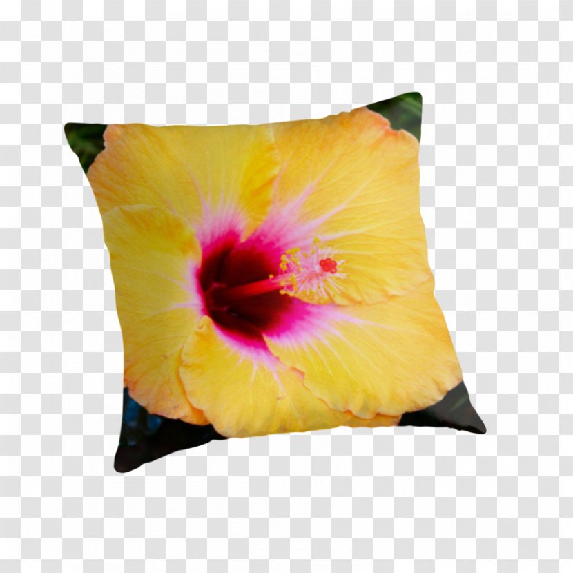 Rosemallows Cushion Throw Pillows - Plant - Pillow Transparent PNG