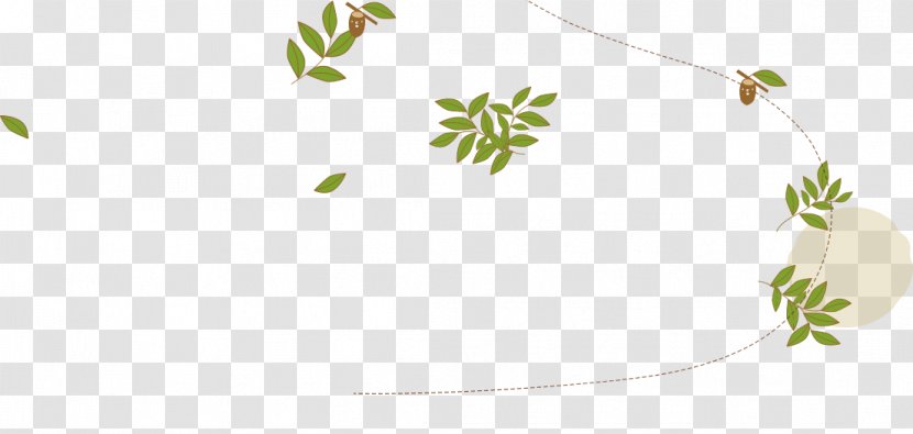 Twig Plant Stem Leaf Transparent PNG