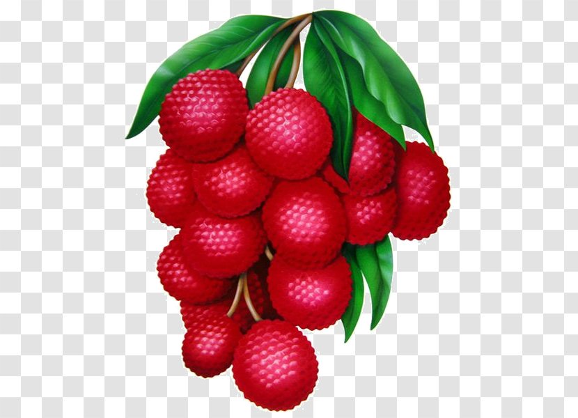Lychee Fruit Food - Accessory - Cherry Transparent PNG