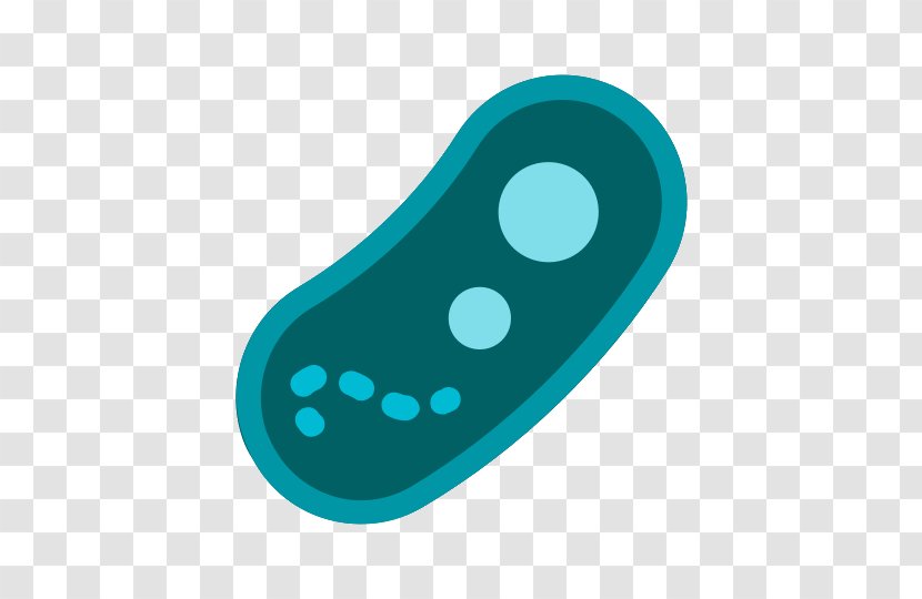 Icon Design Clip Art - Symbol - Bacteria Transparent PNG