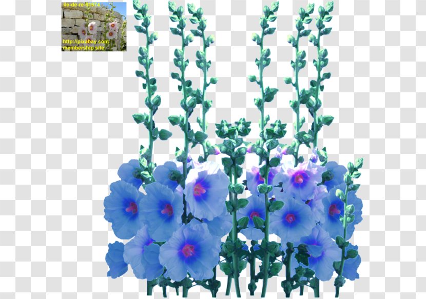Larkspur Floral Design Artificial Flower Violet - Arranging Transparent PNG