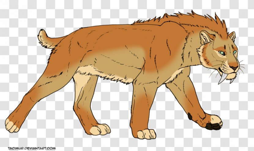 Lion Saber-toothed Tiger Cat - Organism Transparent PNG