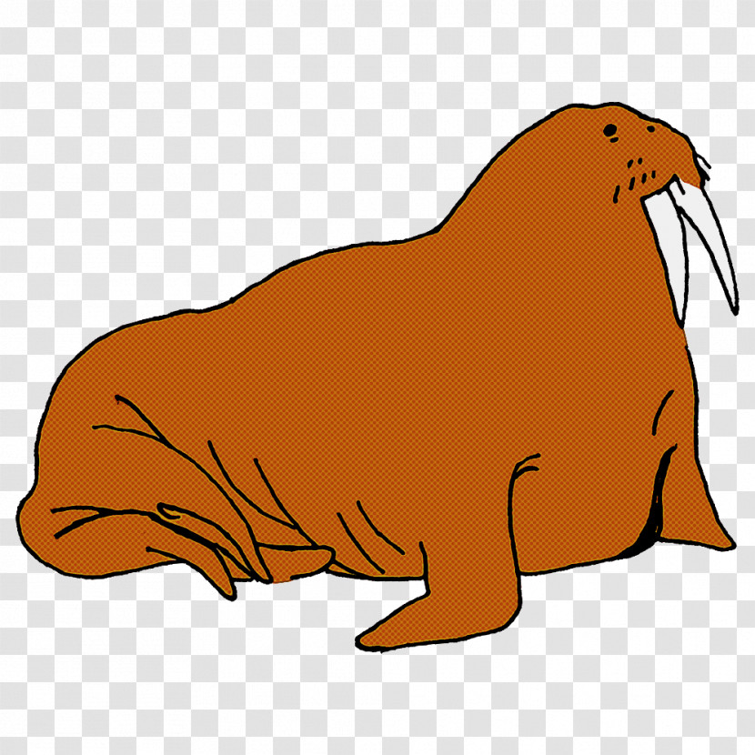 Sea Lions Dog Walrus Whiskers Cat Transparent PNG