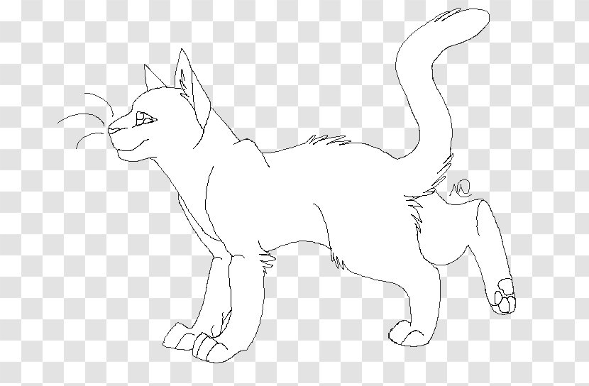 Whiskers Cat Fauna White Sketch - Wildlife - Frankly Transparent PNG