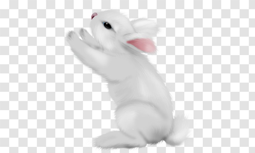 Domestic Rabbit Hare Easter Bunny Animal Transparent PNG