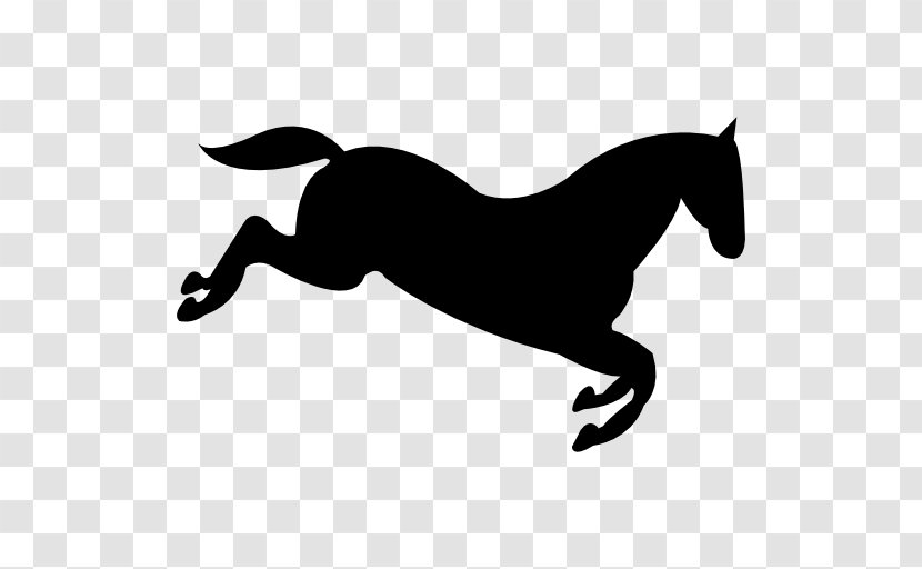 Pony Mane English Riding Rein Stallion - Black And White - Mustang Transparent PNG