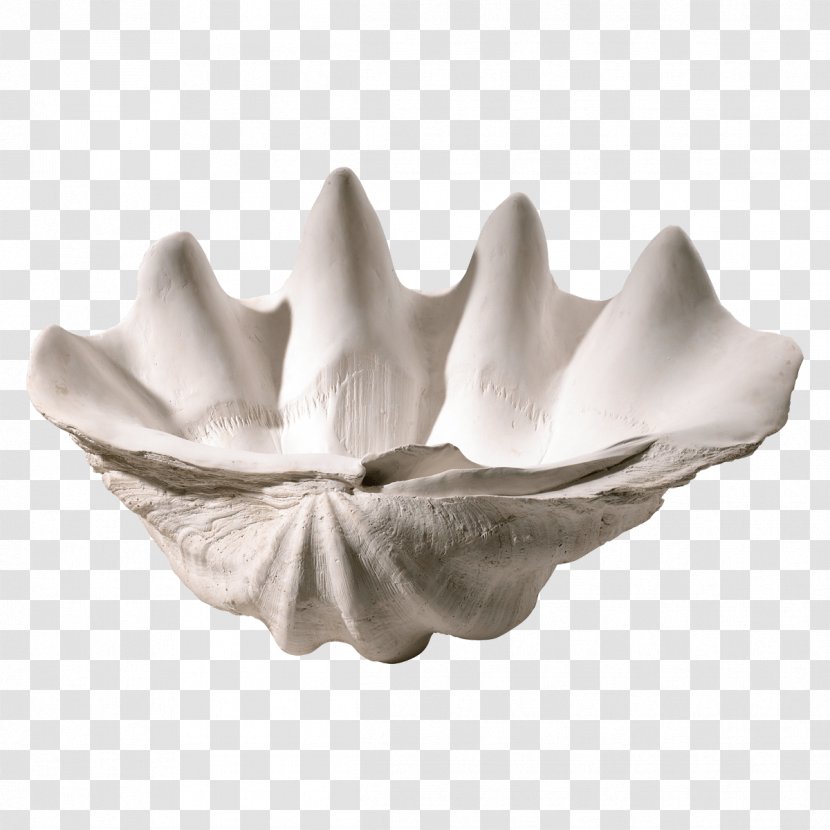 Bowl Table Clam Plate Seashell - Clams Transparent PNG