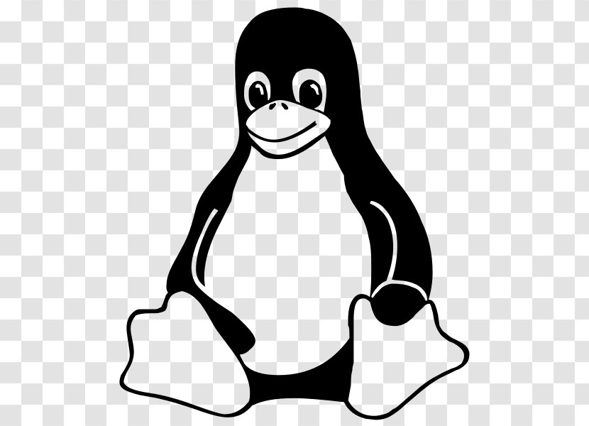 Linux Distribution Kernel Tux - Vertebrate Transparent PNG