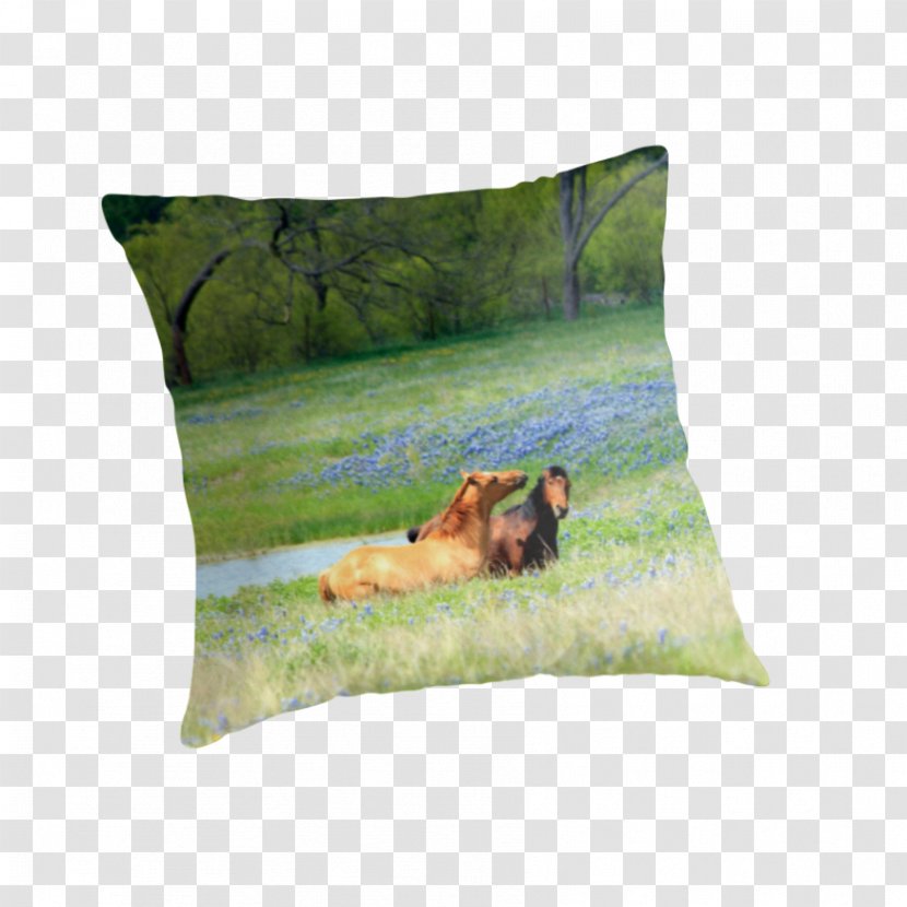 Throw Pillows Cushion - Pillow Transparent PNG