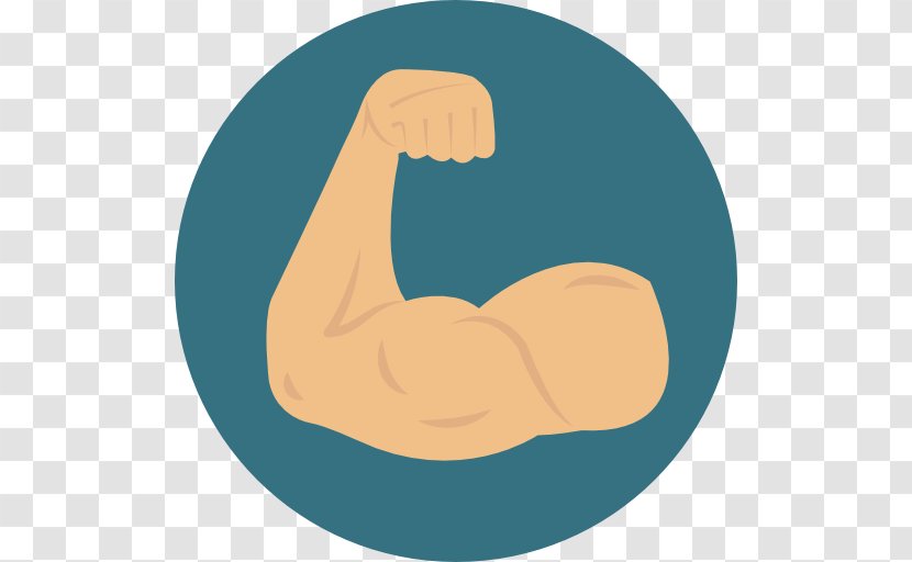 Muscle Arm - Frame Transparent PNG