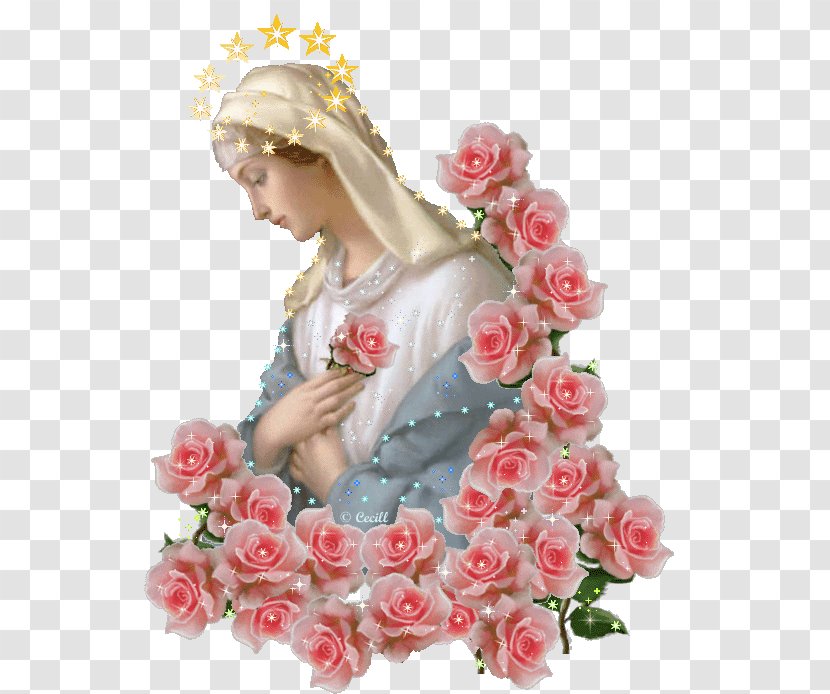 Mary Our Lady Of Fátima Guadalupe Rose Rosa Mystica - Floristry Transparent PNG