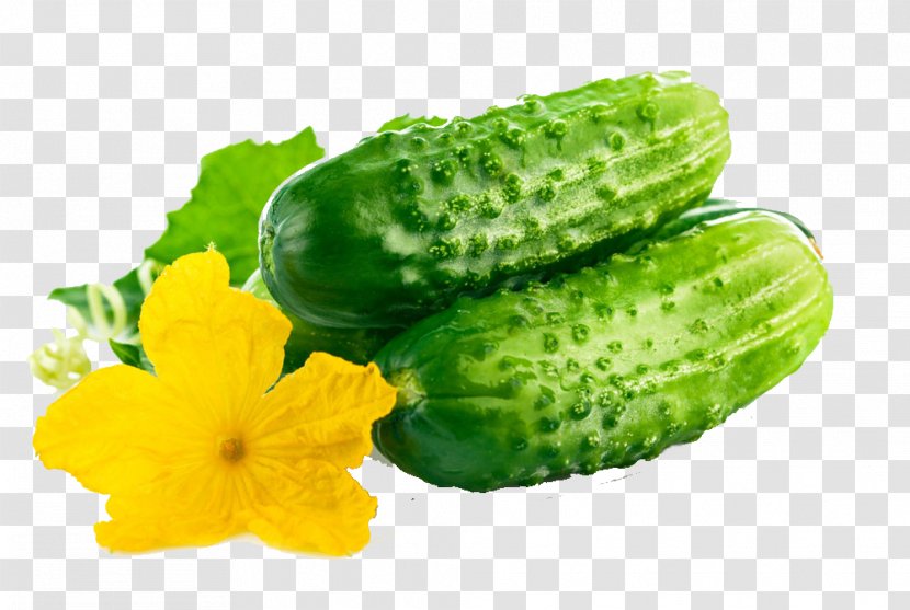 Cucumber Organic Food Vegetable Fruit Seed - Fresh Transparent PNG