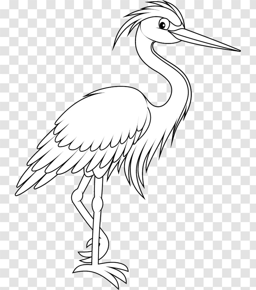 Crane Bird Stork Beak Pelecaniformes Transparent PNG