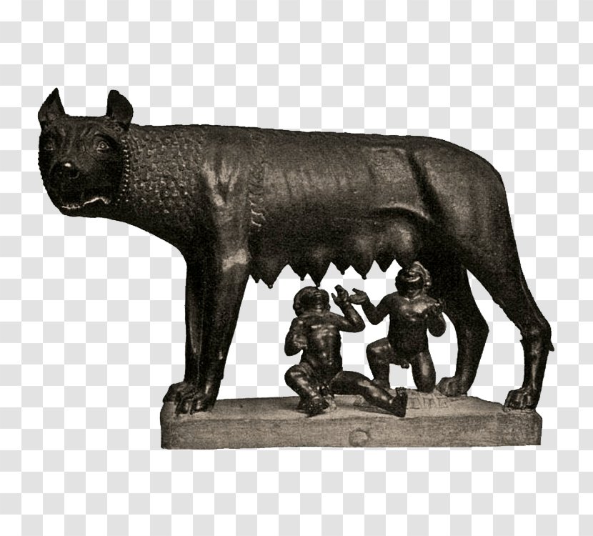 Capitoline Wolf Ancient Rome Tiber Romulus And Remus - Italy Transparent PNG