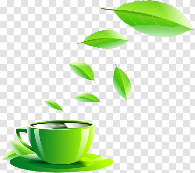 Green Tea Coffee Cup Transparent PNG