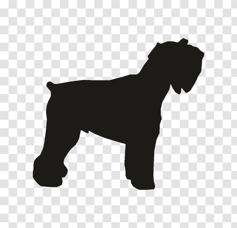 Miniature Schnauzer Dog Breed Rottweiler Dobermann Pit Bull - Norfolk Terrier Transparent PNG