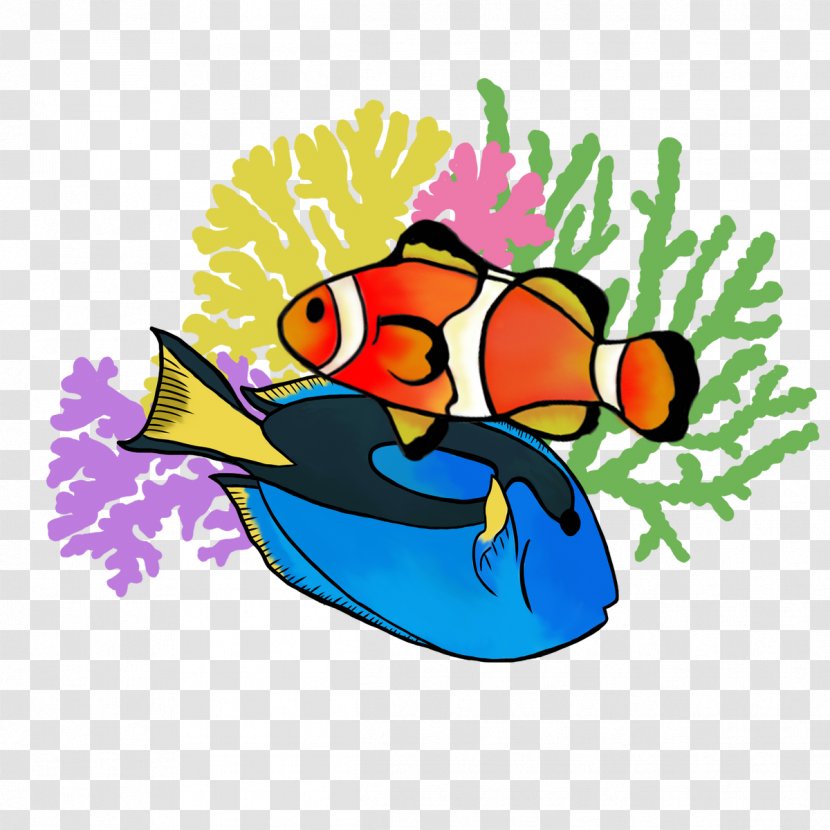 Illustration Clip Art Cartoon Fish Beak - Clownfish Button Transparent PNG