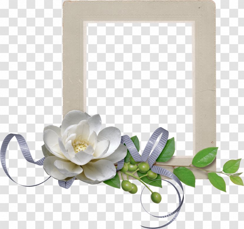Floral Design Designer - Picture Frames Transparent PNG
