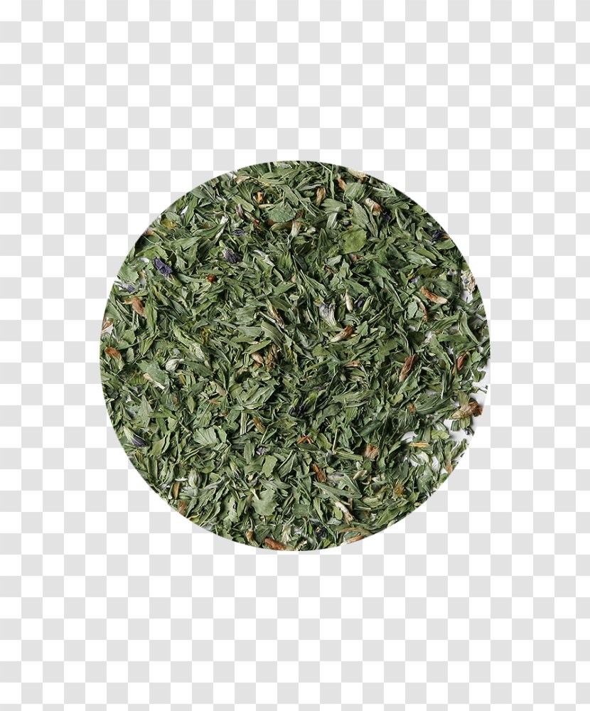 Tea Organic Food Alfalfa Red Clover Sencha - Biluochun Transparent PNG
