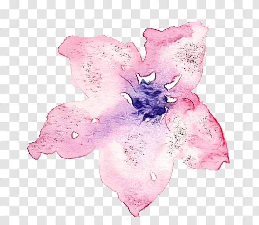 Watercolor Pink Flowers - Plants - Cattleya Rhododendron Transparent PNG