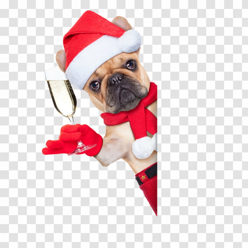 French Bulldog Boxer American Bullmastiff - Christmas Ornament Transparent PNG