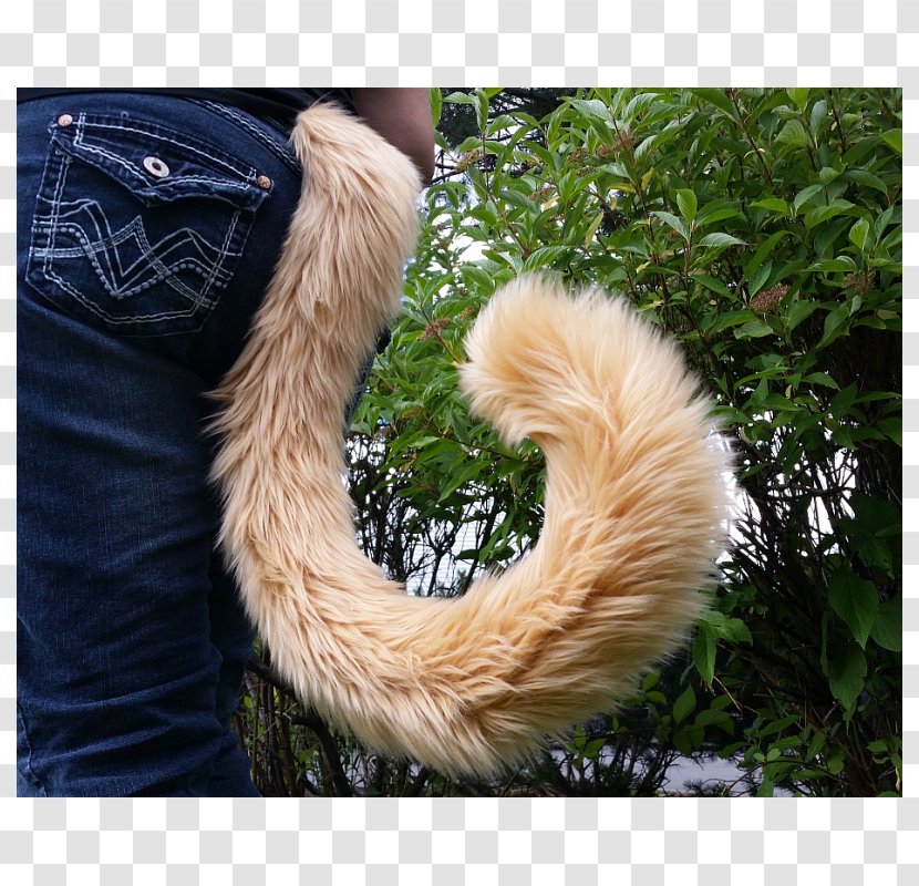 Tail Big Cat Felidae Fur - Cattail Transparent PNG