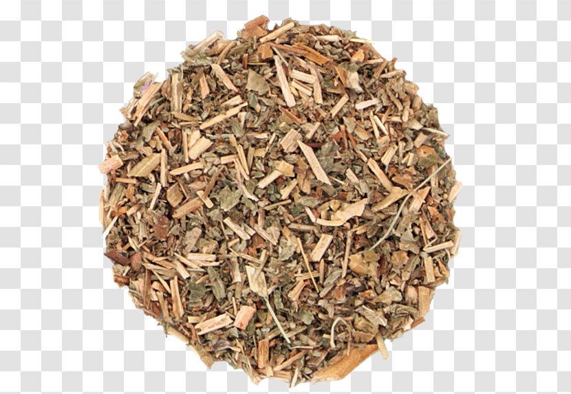 Cumin Poppy Seed Spice Food Ropalidia - Assam Tea - Apiaceae Transparent PNG