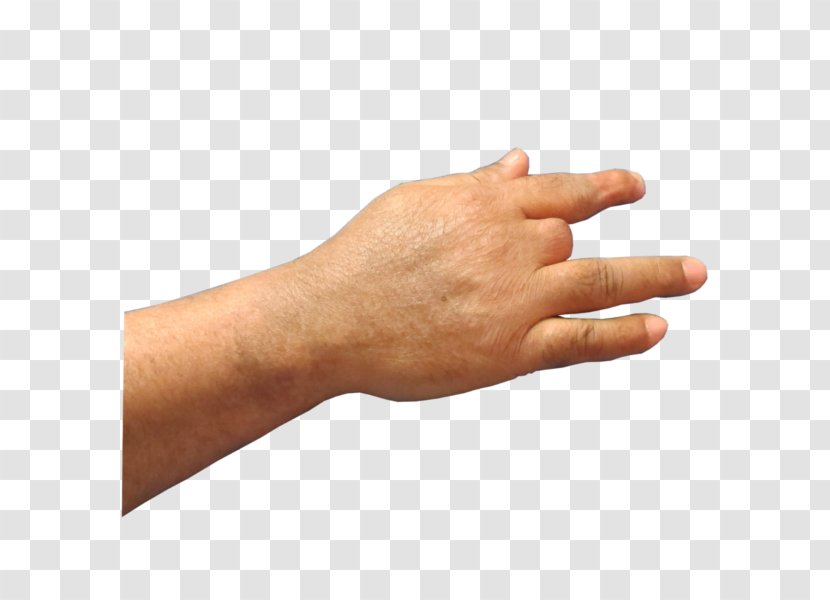 Thumb Hand Model Nail - Finger Transparent PNG