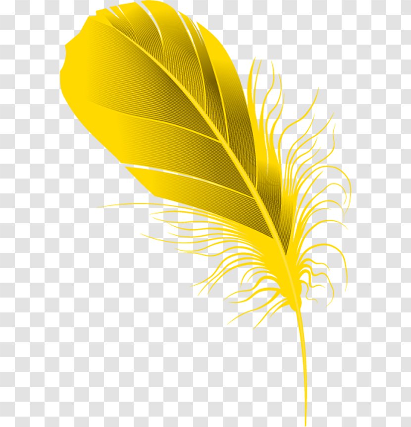 Yellow Feather. - Leaf - Feather Transparent PNG