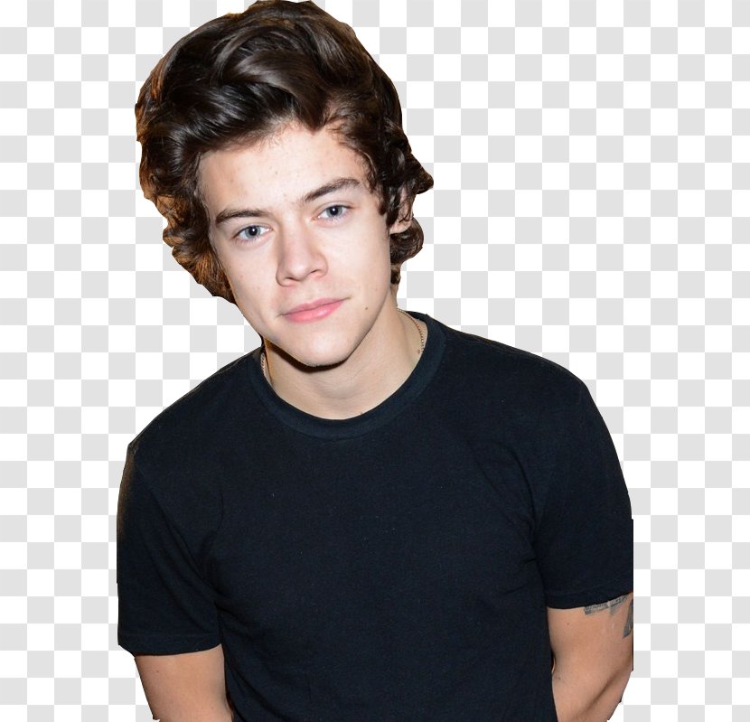 Harry Styles Sign Of The Times Musician One Direction Actor - Sytle Transparent PNG