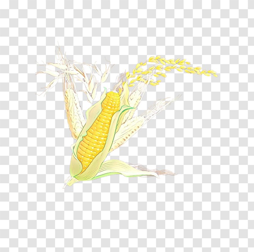 Corn On The Cob Yellow Sweet Vegetarian Food - Plant Transparent PNG
