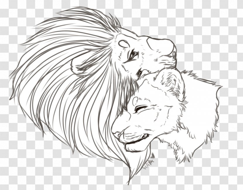 Lion Ear Cat Sketch - Flower - Khal Drogo Transparent PNG