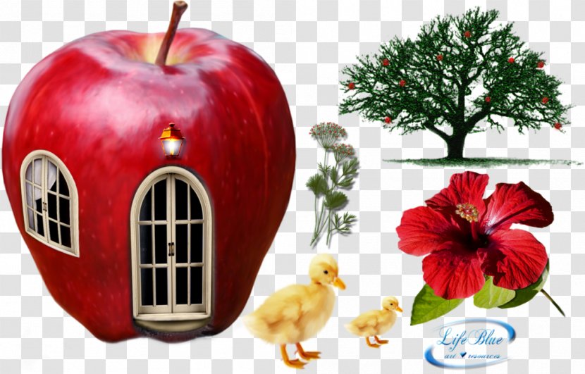 Apple - House - Tender And Beautiful Transparent PNG