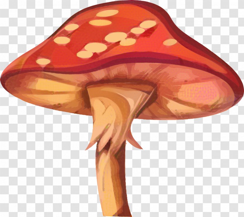 Mushroom Cartoon - Fungus - Peach Transparent PNG