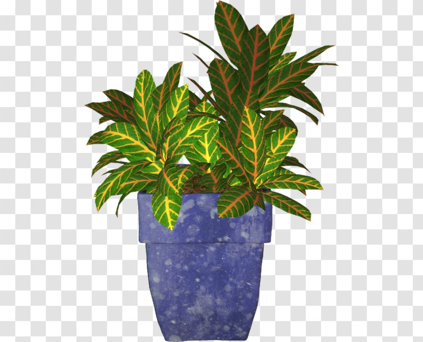 Clip Art Flowerpot Vector Graphics Image - Leaf - Plants Transparent PNG