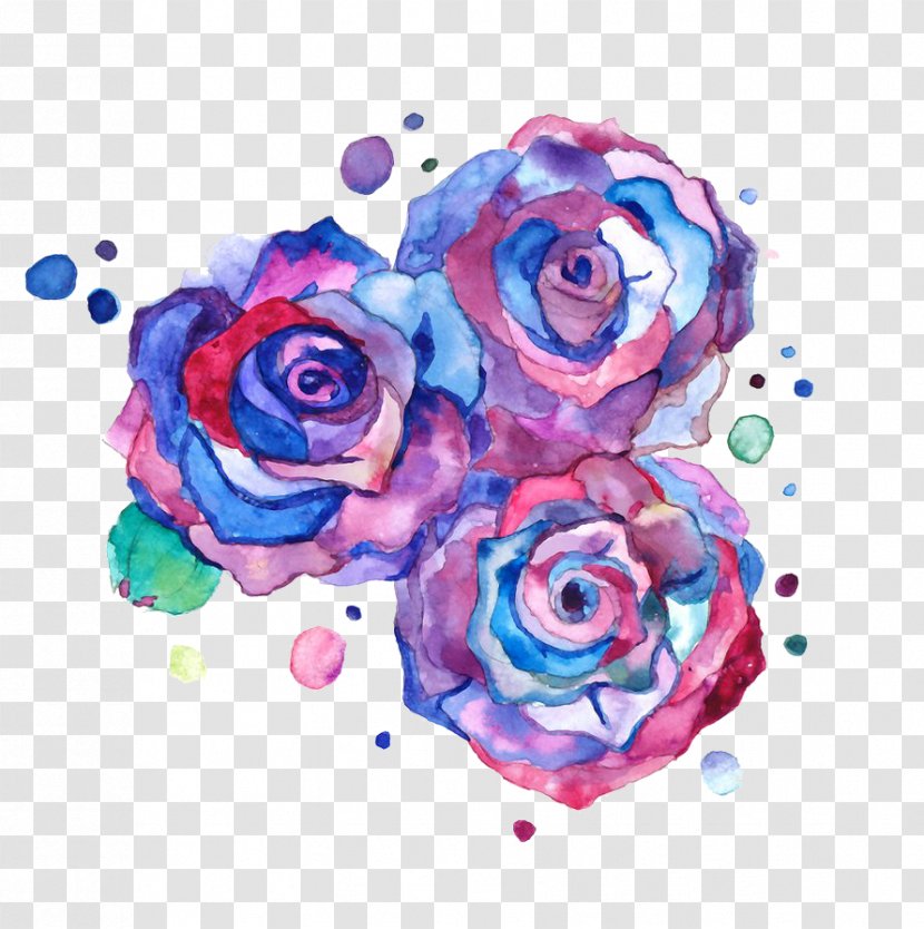Drawing Rose Color Flower Art - Pink - Watercolor Cheese Transparent PNG