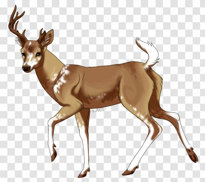 Thomson's Gazelle Springbok Antelope Clip Art - Reindeer - Young Bucks Transparent PNG