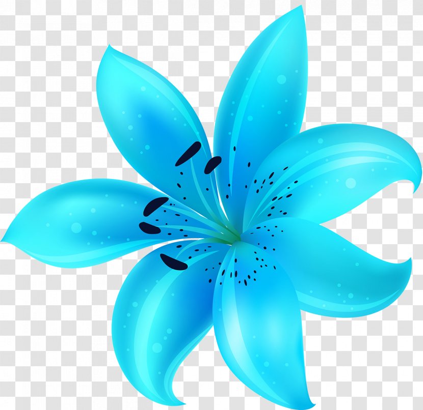 Cut Flowers Turquoise Teal Petal - Water Lilies Transparent PNG