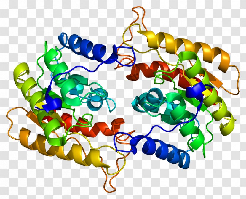RAR-related Orphan Receptor Gamma Retinoic Acid - Phospholipase A2 Transparent PNG