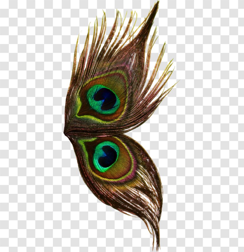 Feather Bird - Butterfly Transparent PNG