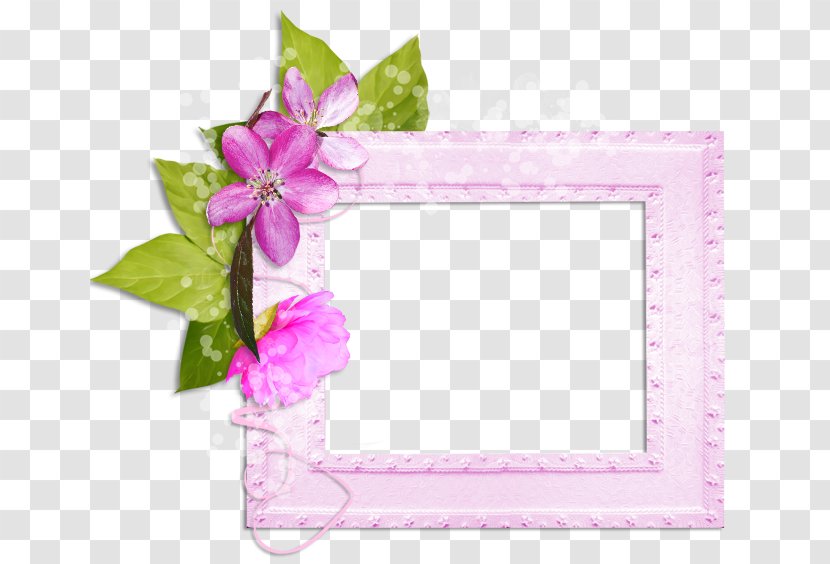 Picture Frames Floral Design - Pink Transparent PNG