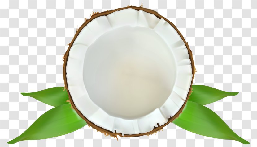 Coconut Water Clip Art Milk - Dishware Transparent PNG