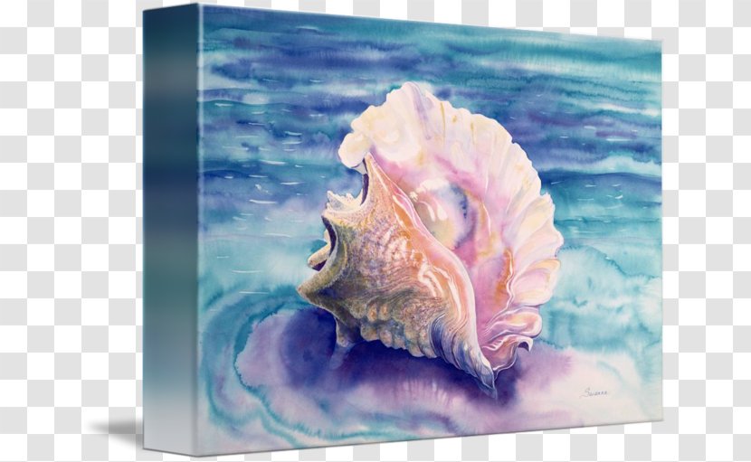 Caribbean Sea Lobatus Gigas Seashell Conch Watercolor Painting Transparent PNG
