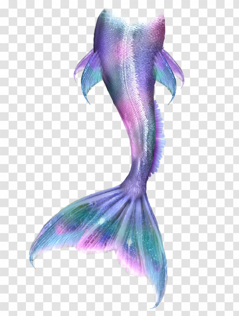 Ariel Mermaid Drawing Tail Siren - Little Transparent PNG