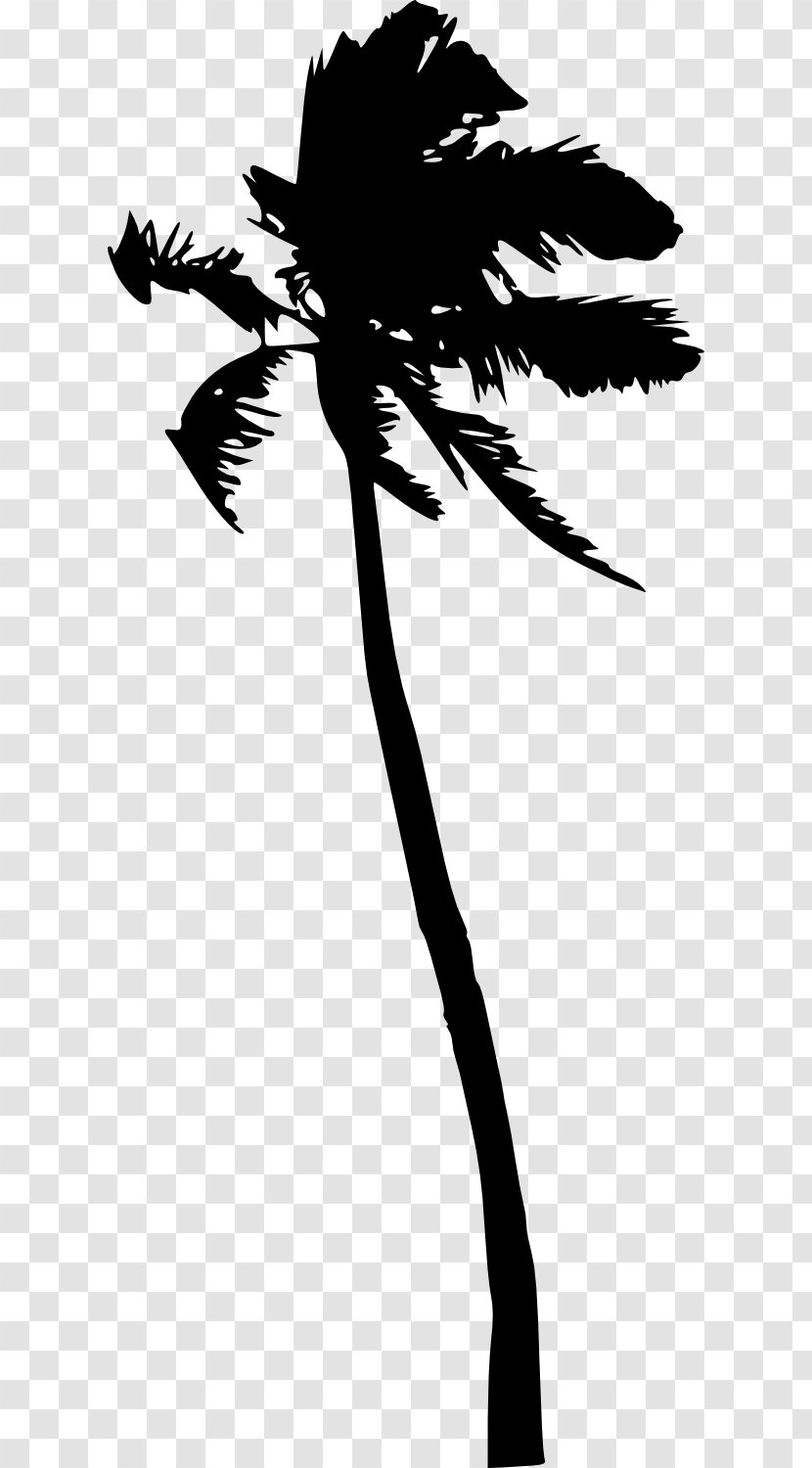 Palm Trees Silhouette Clip Art Coconut - Wing - Tree Transparent PNG